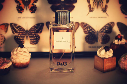 dolce-and-gabana-l-impre